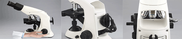 B302 Novel Binocular Biological Microscope factory